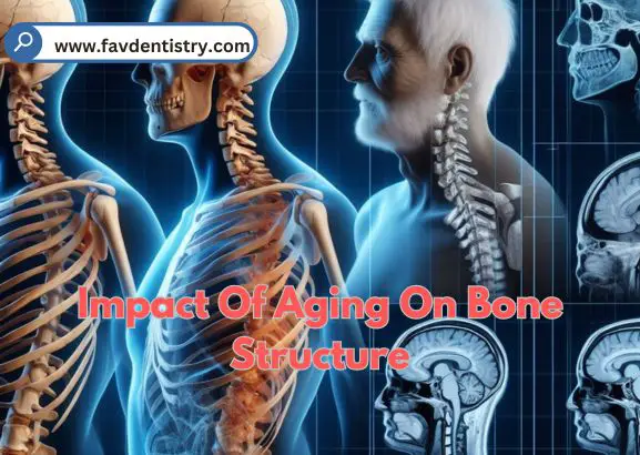 Impact Of Aging On Bone Structure